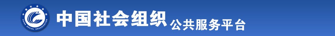 艹艹艹插插全国社会组织信息查询